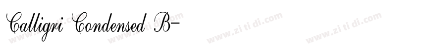 Calligri Condensed B字体转换 Calligri Condensed B字体转换